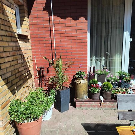 Ogrodek U Eli Apartment Kolobrzeg Exterior photo