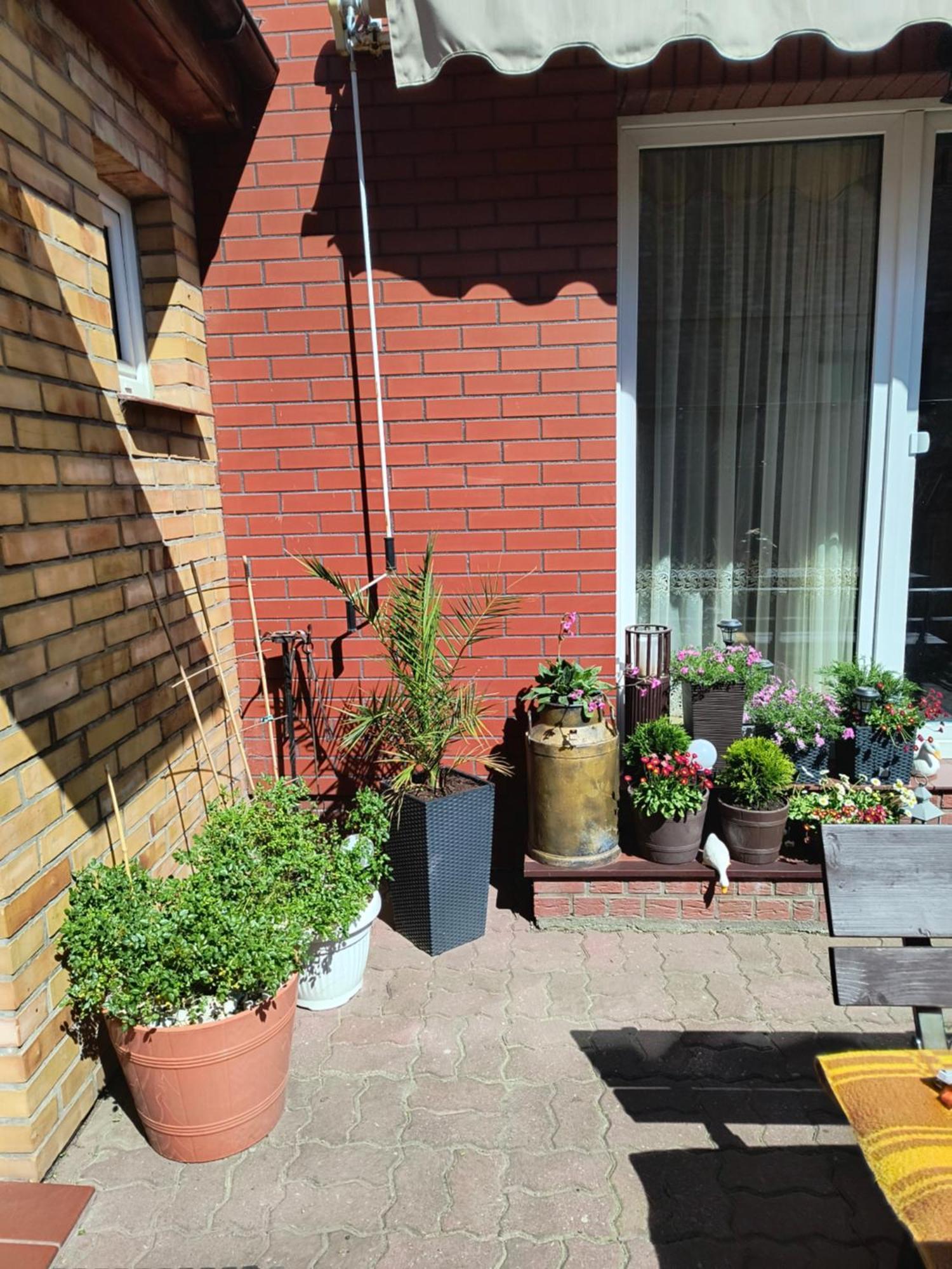 Ogrodek U Eli Apartment Kolobrzeg Exterior photo